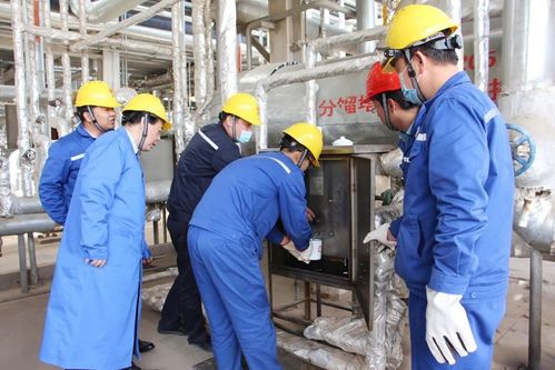 國家重點研發計劃煤與重油共加氫及產品加工關鍵技術通過專家組現場考核