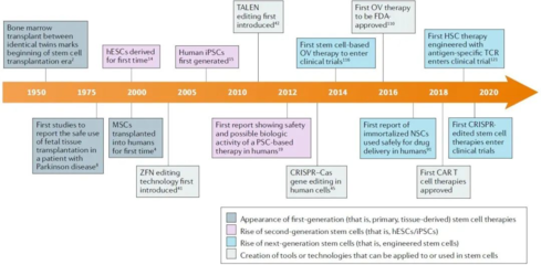 長風破浪 干細胞療法的發展歷程