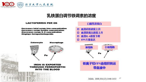 特殊醫學用途配方食品在母嬰領域的應用與醫學研究進展